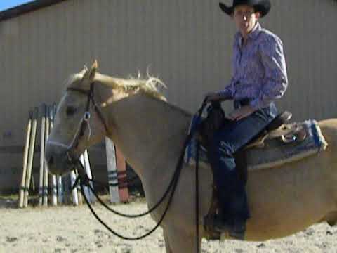 KT's Training Tips - Backing Exercise