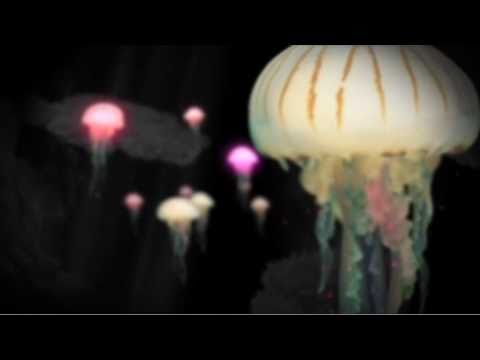 Mathias Kaden feat. Ian Simmonds - Panic Stricken (music video)