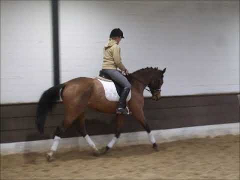 CALA PI v. Check In - Quantus VB 7.000,- Euro