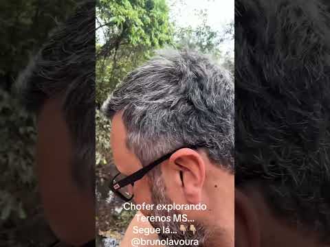 Chofer explorando Terenos MS, vida de #caminhoneiro #shorts #trilhas #viagem #terenos