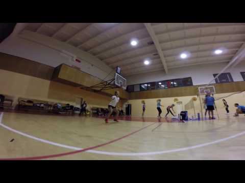 „Kestutis Navickas Badminton Academy*“