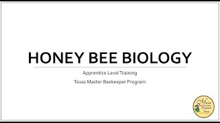 Honey Bee Biology