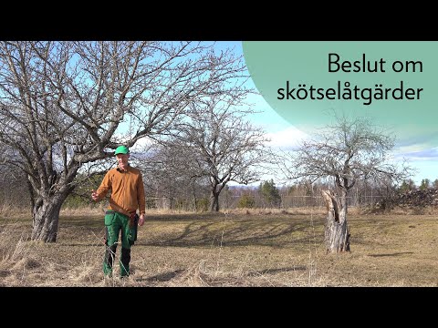 Beslut om skötselåtgärder