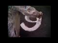 Sesame Street Mad Painter 9 HQ