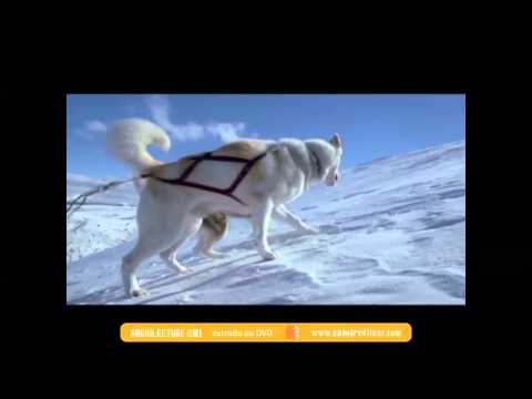 EXTRAIT - Archilecture CM1 DVD - Le dernier trappeur