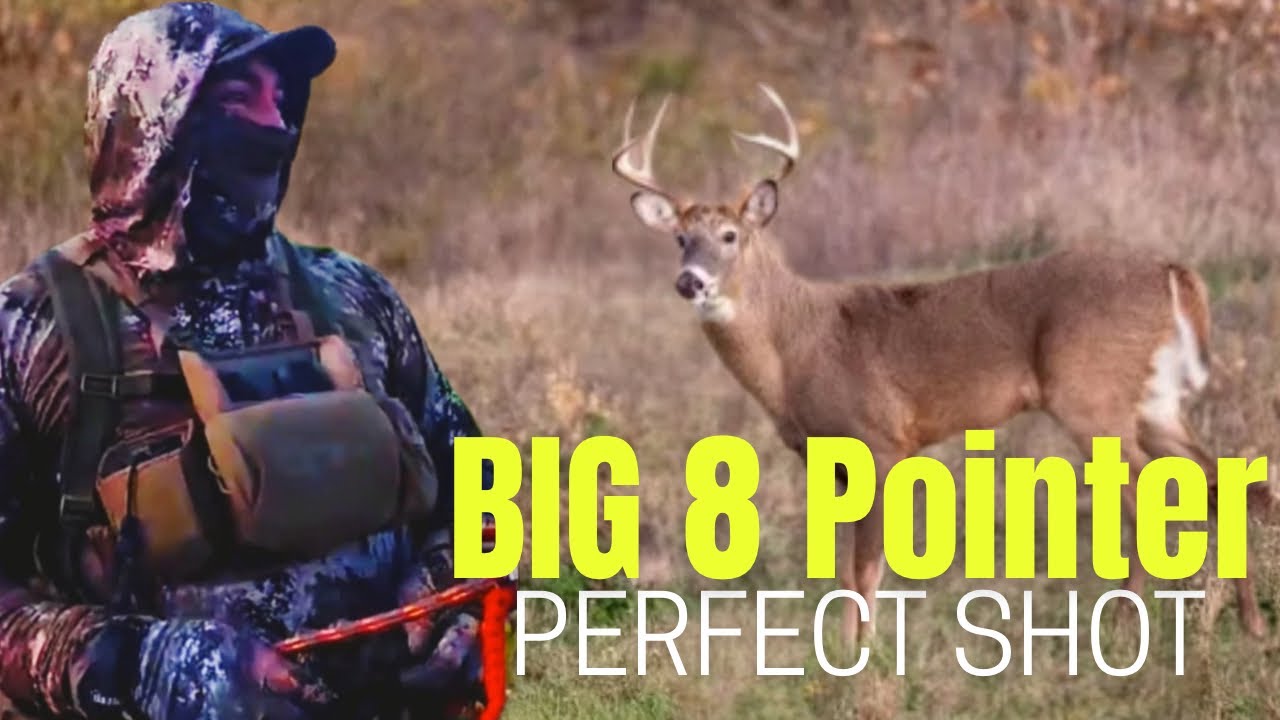 Bowhunting an 8-Point Buck | Backcountry Basics Hunt