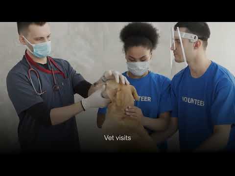 PawPulse: Pet Reminders