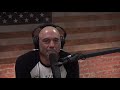 Joe Rogan on the Disneyland Fight Video thumbnail 2