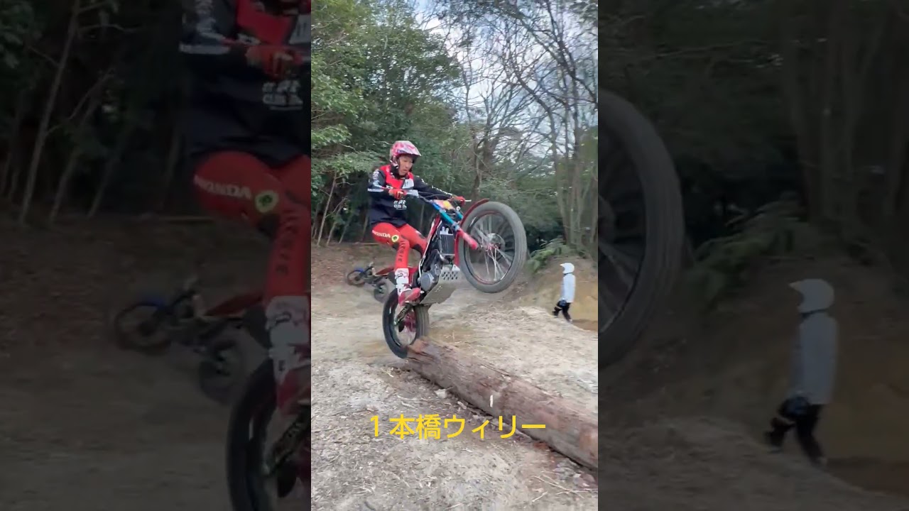 一本橋ウィリー