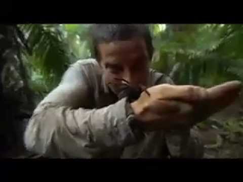 Trailer de À Prova de Tudo (2006)