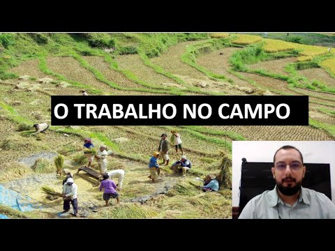 4 anos - História - O trabalho no campo