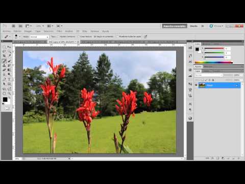 RE: Rellenar segun contenido