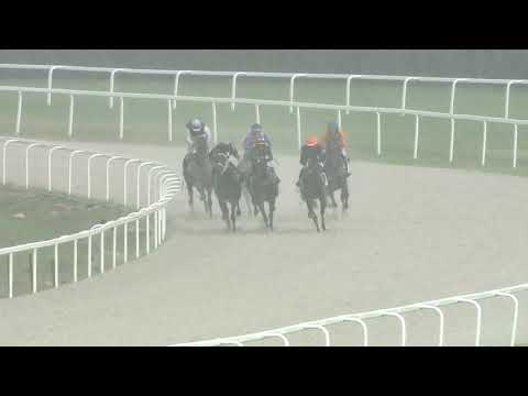 2020.08.16. 05. futam - CSENTERICZ ZOLTÁN EMLÉKVERSENY – AUGUSZTUSI DÍJ (III.kat.) (szintetikus)