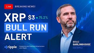 XRP BULL RUN CONFIRMED | $3 XRP Price Prediction & Brad Garlinghouse Update