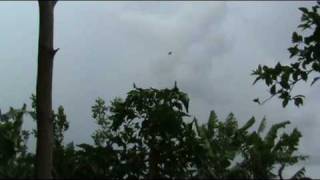 puerquito asado en cuba 2