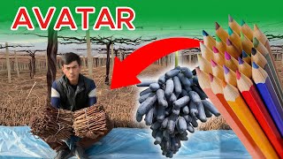 🔥 Maxsus aksiya! Avatar va Manicure Finger  uzum qalamchasi obunachilarga mutlaqo bepul.