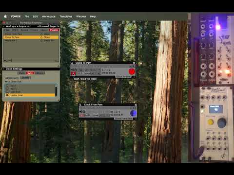 VDMX & Pamela's Pro Workout Part 1: Basic Setup