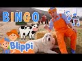 BINGO Song With Blippi Brand New BLIPPI Dog Song Fun Educational Songs For Kids