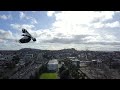 A Magpie Attacking The Drone