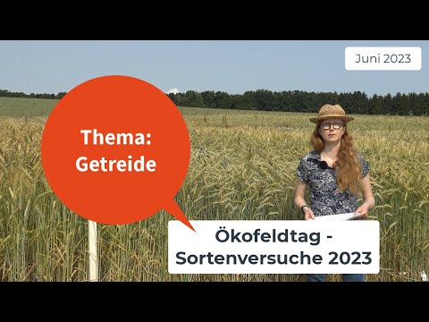 Pflanzenbau aktuell - Öko Feldtag 2023 - Getreide