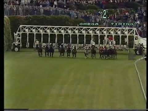 1979 WS Cox Plate - original TV broadcast