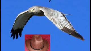 la hija de laurita garza