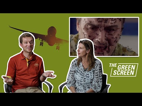 Bug Experts React to Ants on a Plane | The Green Screen