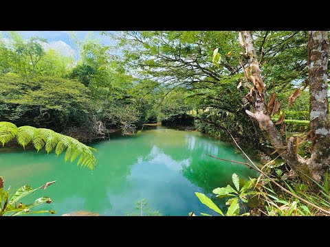 Buceando en el Charco El Limón en San Rafael Antioquía #sanrafael #antioquia #buceo #aventura 