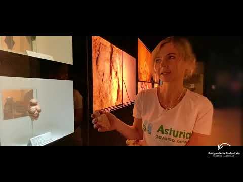 Imagen Visita Virtual al Parque