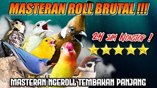 Download lagu #14 MASTERAN TERBARU TEMBAKAN BURUNG KECIL AUDIO JERNIH | 24 JAM NONSTOP! mp3 Download lagu #14 MASTERAN TERBARU TEMBAKAN BURUNG KECIL AUDIO JERNIH | 24 JAM NONSTOP! mp3