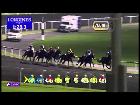 08.11.2012 Meydan (Dubai-UAE) 4.Race Skywards - 2.000 m