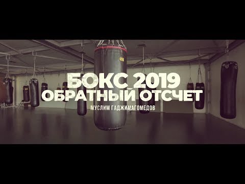 Единоборства «Бокс 2019. Обратный отсчет». Муслим Гаджимагомедов