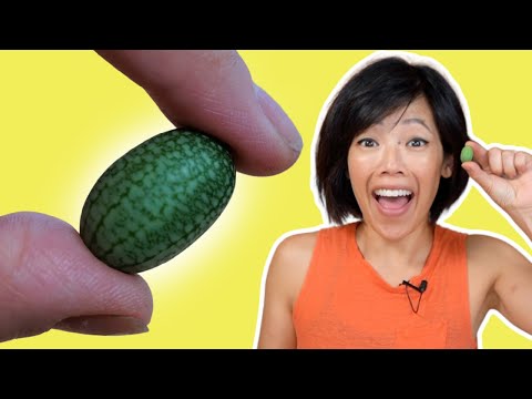 image-Can you eat cucamelons?Can you eat cucamelons?