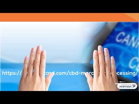 Credit Card Processing For CBD Store