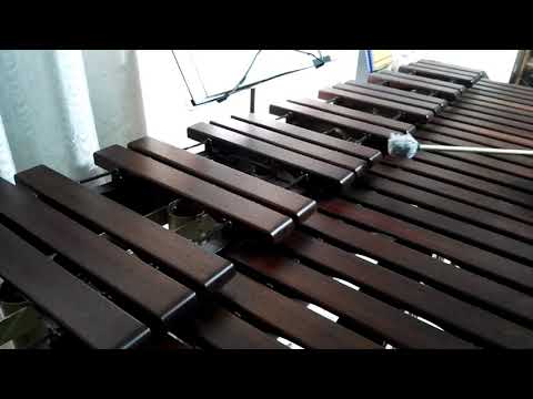 Inni di lode N°444: Signore io t'amo Marimba Cover