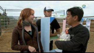 [問卦] 馬會自己轉彎嗎？