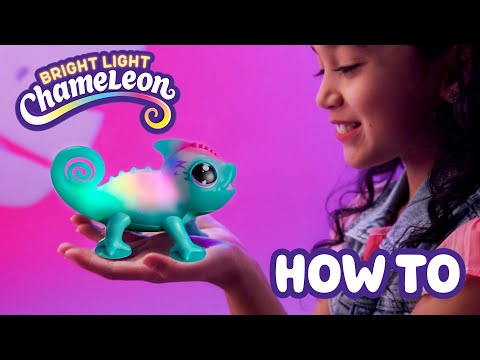 Little Live Pets Chameleon Instructions