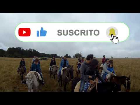 San Pedro de Timote, Cabalgata #hotel #sanpedrodetimote #hotelsanpedrodetimote @rubenfotos