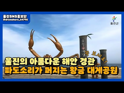 울진의 아름다운 해안 경관 황금대게공원! :: 울진SNS홍보단 :: 울진군청