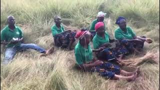 Download lagu Dzégé - groupe Kimfoulanga (culture Congolaise 🇨🇬 Téké de Zanaga/Lékoumou) mp3 Download lagu Dzégé - groupe Kimfoulanga (culture Congolaise 🇨🇬 Téké de Zanaga/Lékoumou) mp3