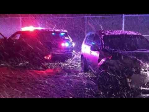 API ZEL - Winter Vibezz