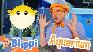 Download lagu Blippi Meets a Puffer Fish at the Aquarium! Educational Videos for Kids mp3