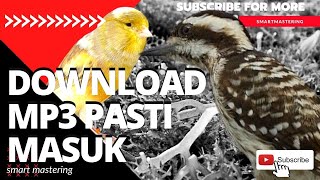 Download lagu burung pelatuk beras sampit gacor vs burung KENARI rol nembak fighter  | Mastering 3D mp3