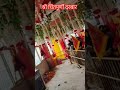 Daily Live Darshan Maa Chintpurni Darbar Jaimatadi Sonuchintpurni Chintapurni