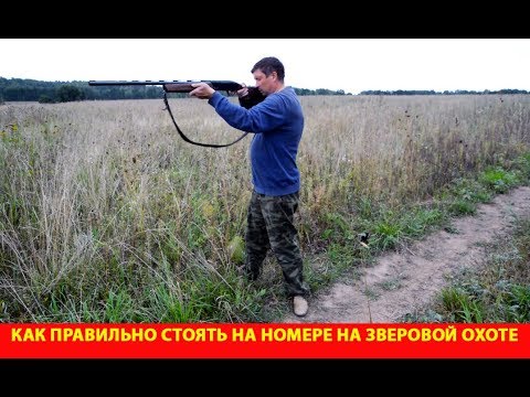 Как правильно стоять на номере на зверовой охоте