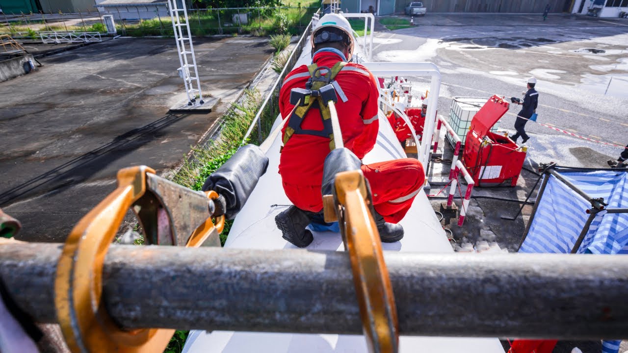 Did You Know This About Harnesses?