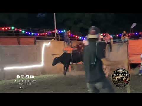 Jugadas de toros del Rancho Temozón Diamante, San Lorenzo Boaco