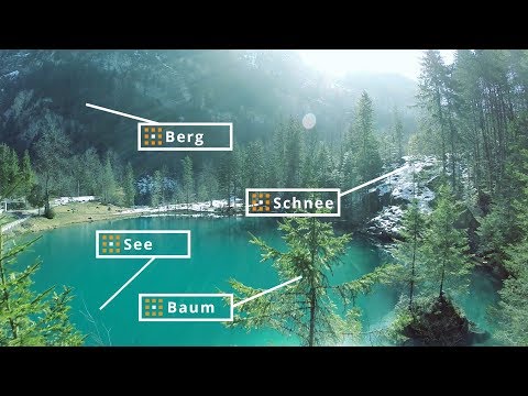 Bilddatenbank mit Autotagging - automatische Beschriftung in der Bilderdatenbank pixafe