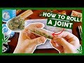 How To Roll A Joint For Beginners