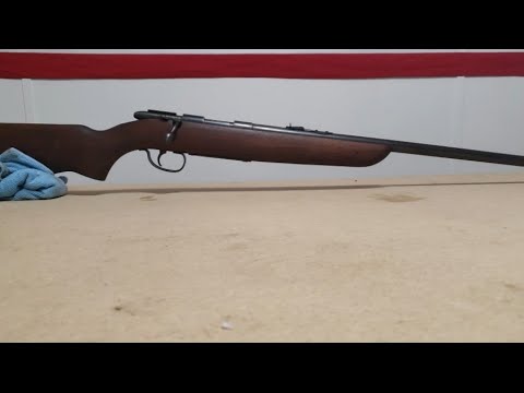 Gun Bluing with Birchwood Casey's Perma Blue